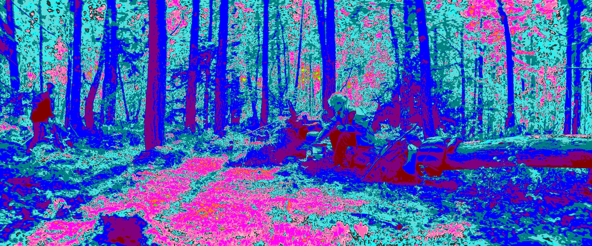 A Fairy Tale 4: Exposure Reveal